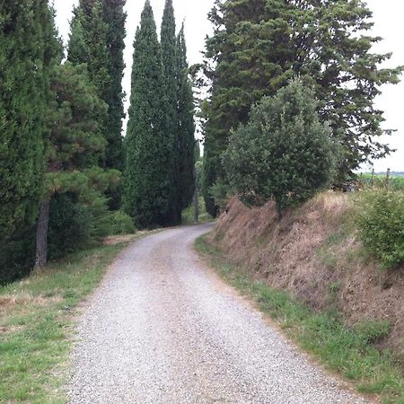 Agriturismo Fattoria Di Gratena Arezzo Eksteriør bilde