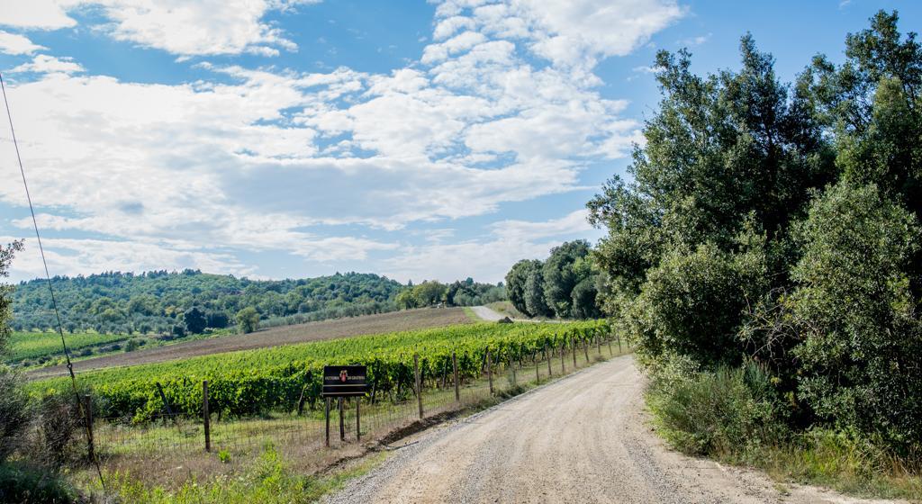 Agriturismo Fattoria Di Gratena Arezzo Eksteriør bilde