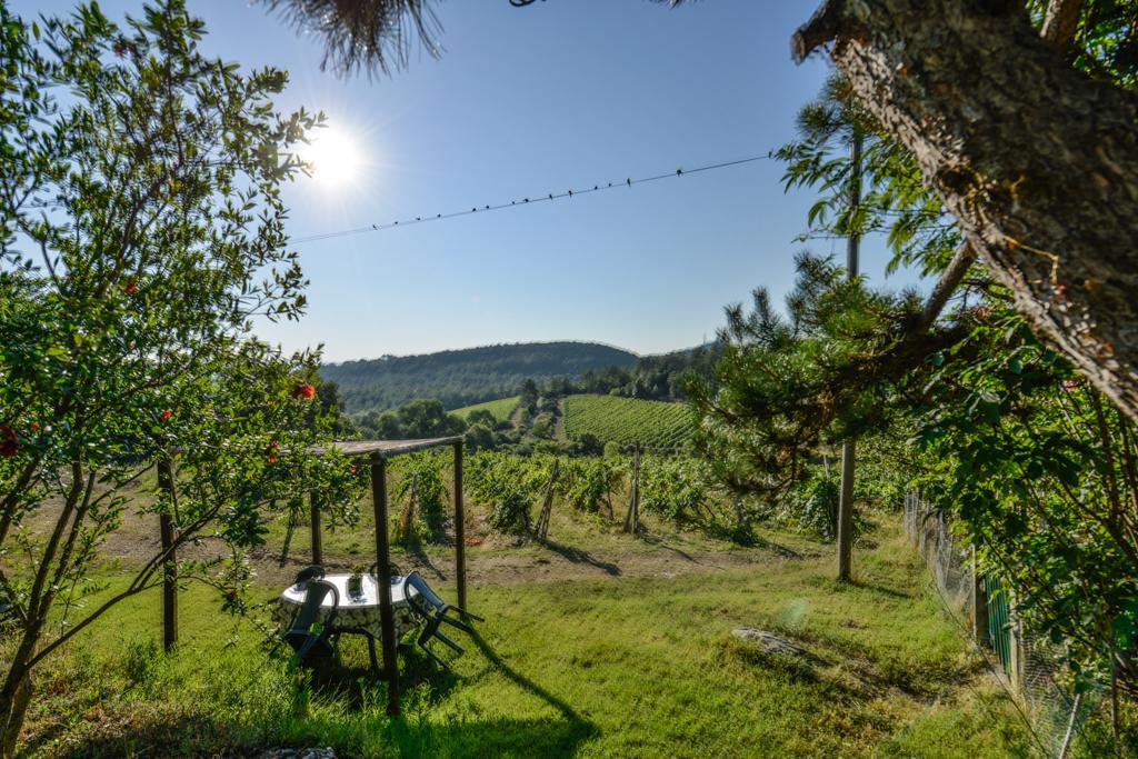 Agriturismo Fattoria Di Gratena Arezzo Eksteriør bilde