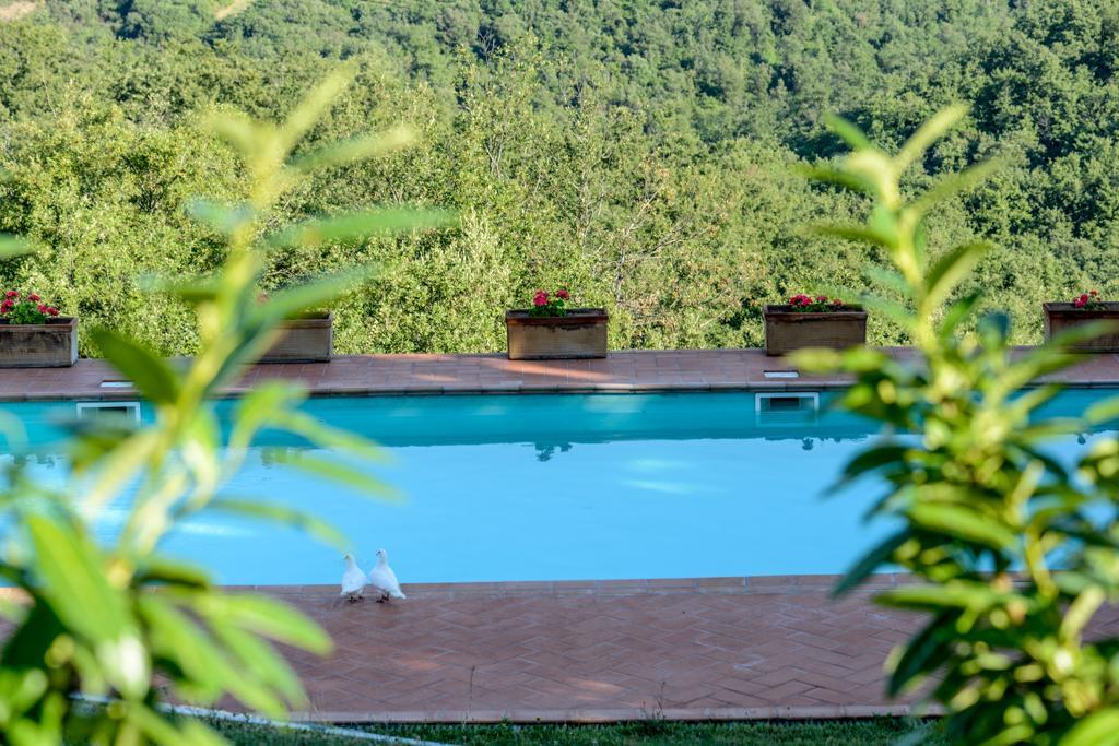 Agriturismo Fattoria Di Gratena Arezzo Eksteriør bilde
