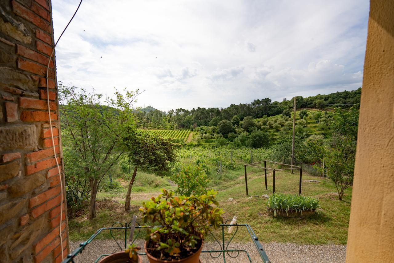 Agriturismo Fattoria Di Gratena Arezzo Eksteriør bilde