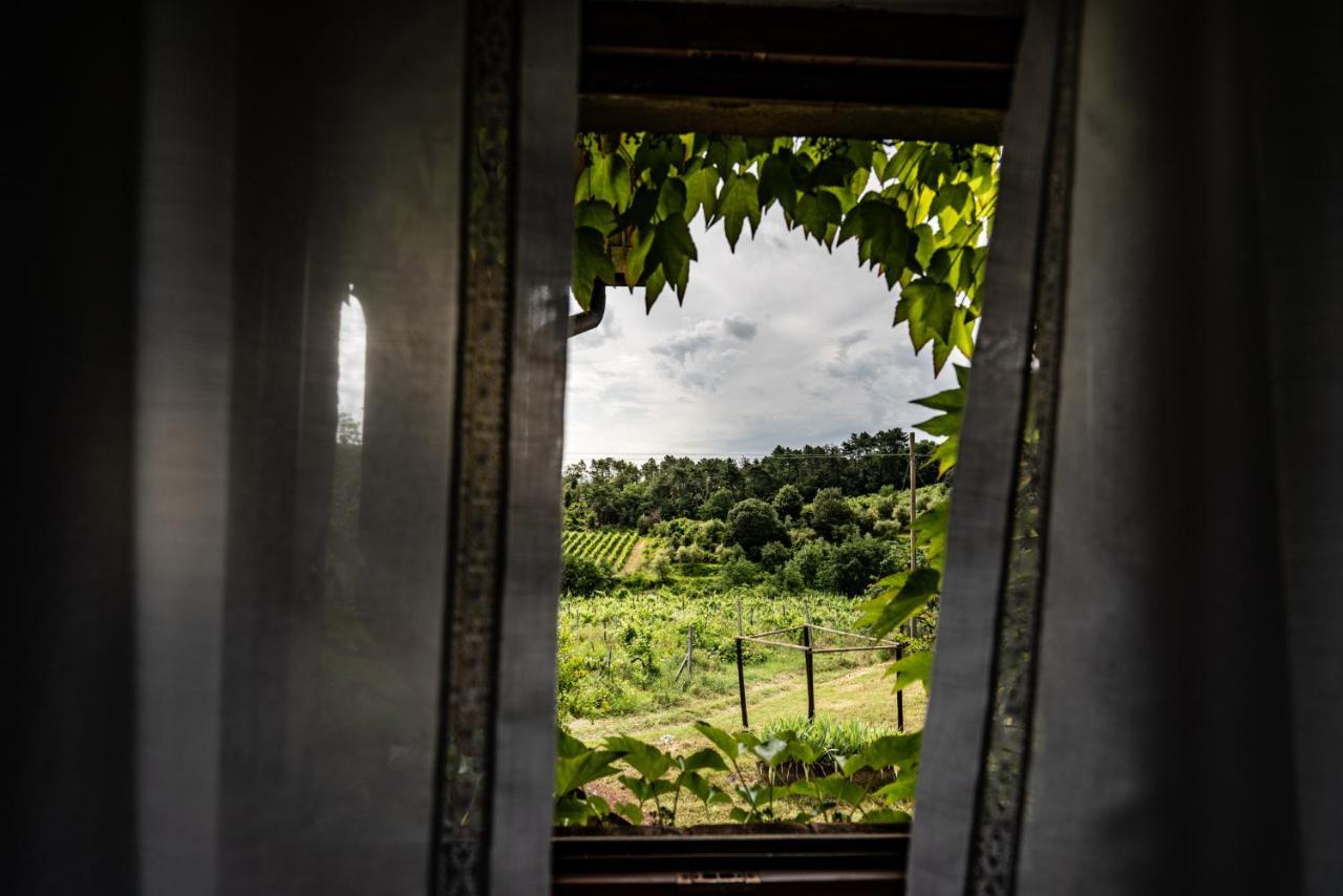 Agriturismo Fattoria Di Gratena Arezzo Eksteriør bilde
