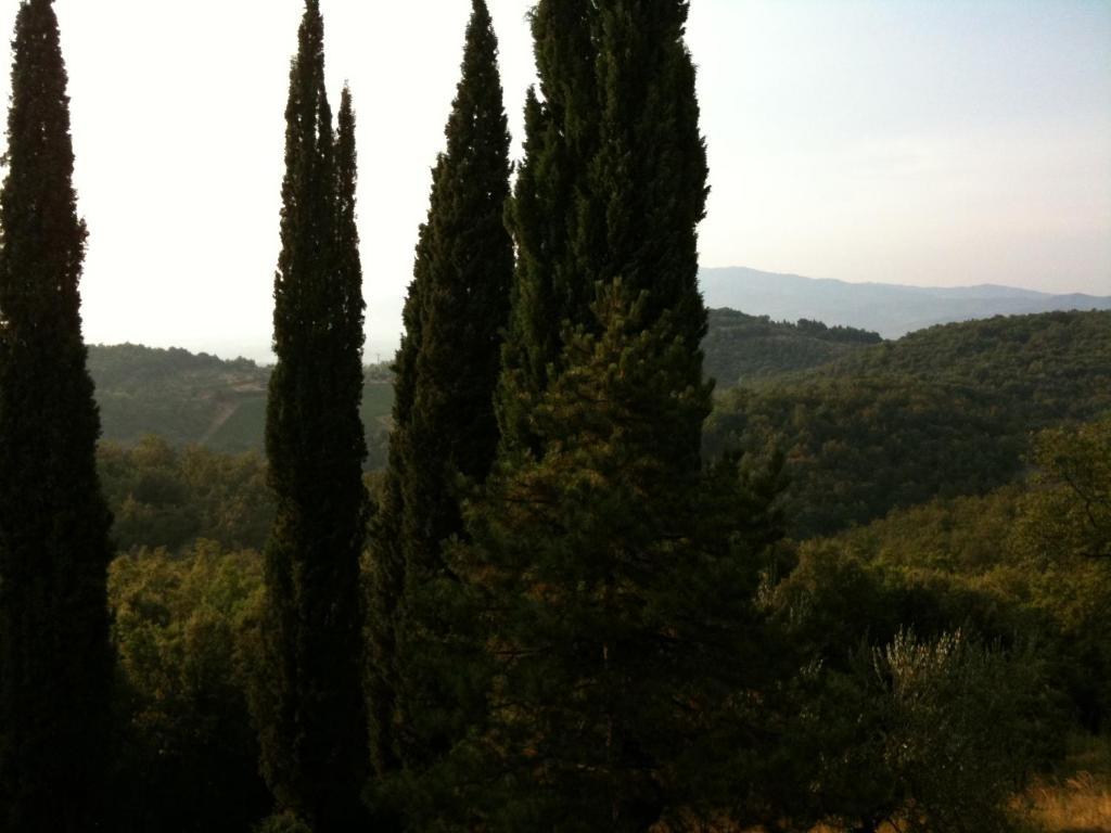 Agriturismo Fattoria Di Gratena Arezzo Eksteriør bilde