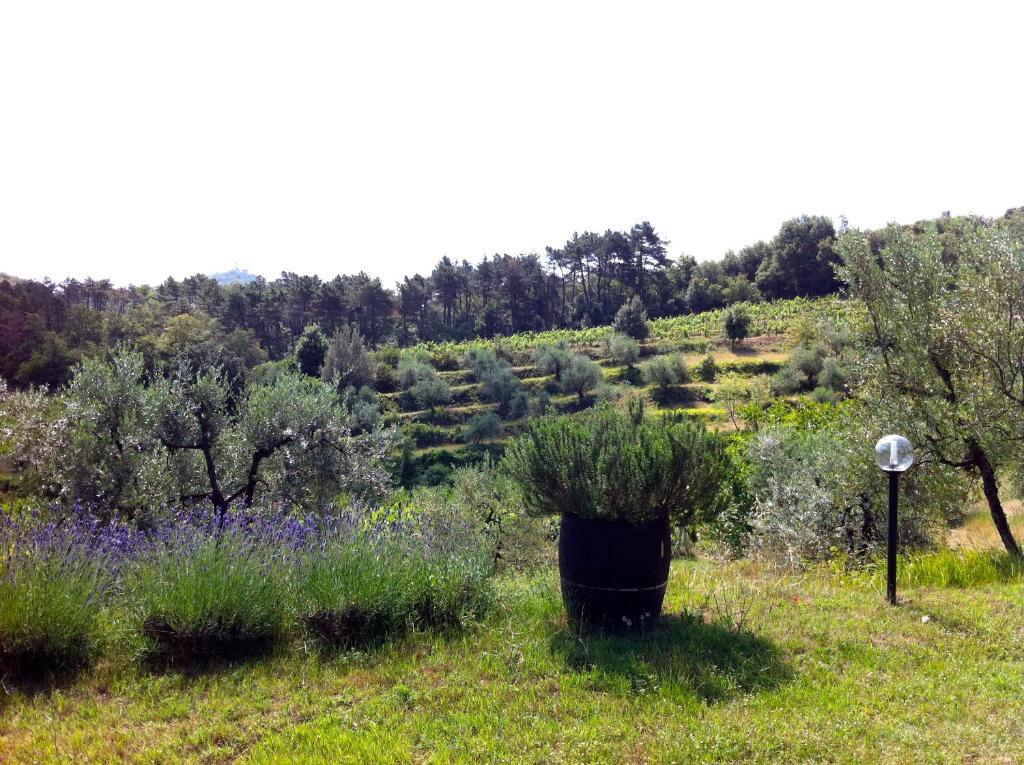 Agriturismo Fattoria Di Gratena Arezzo Eksteriør bilde